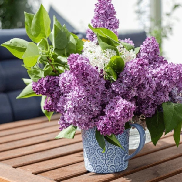 Ceramic Flower Vase (Medium)